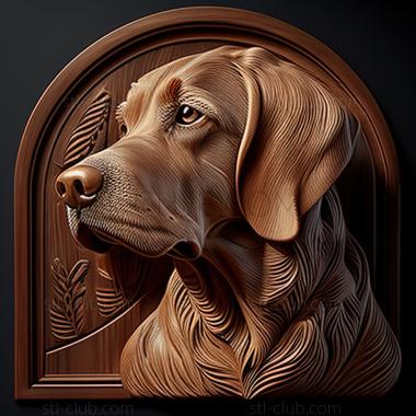 3D model st The Swiss Hound dog (STL)